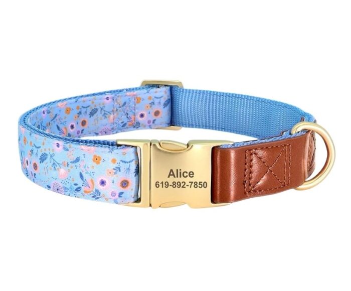 Collar Nature Blue Spring Collar Nature Blue Spring