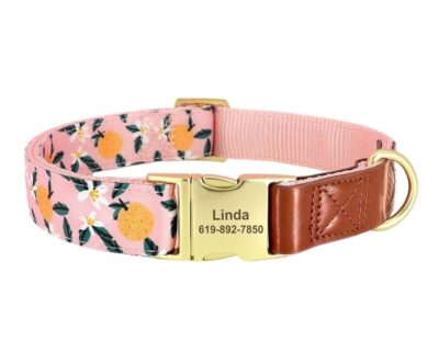 Collar Nature Orange