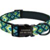 Collar Oasis Tribal