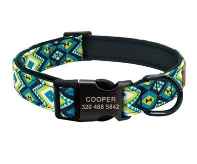 Collar Oasis Tribal