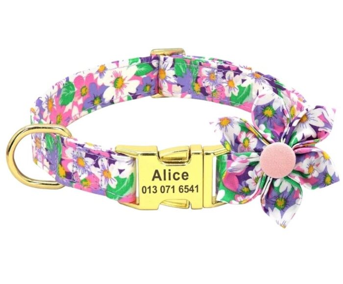 Collar Rosella