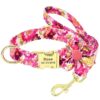 Collar Rosella Rosa